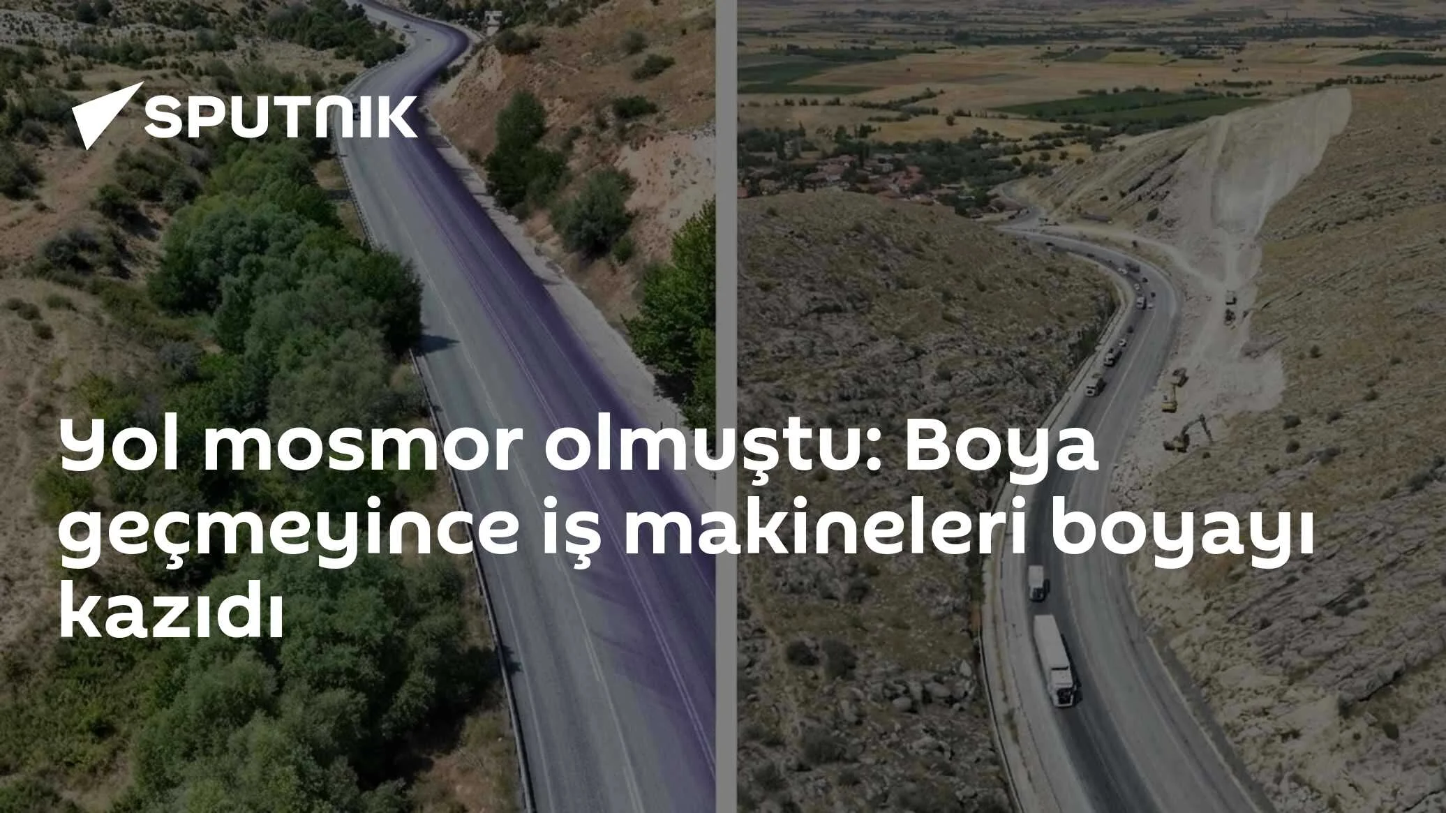 boya