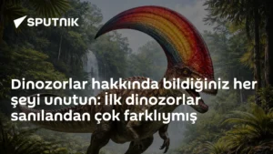 Silesaur