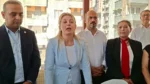 örgütlenme