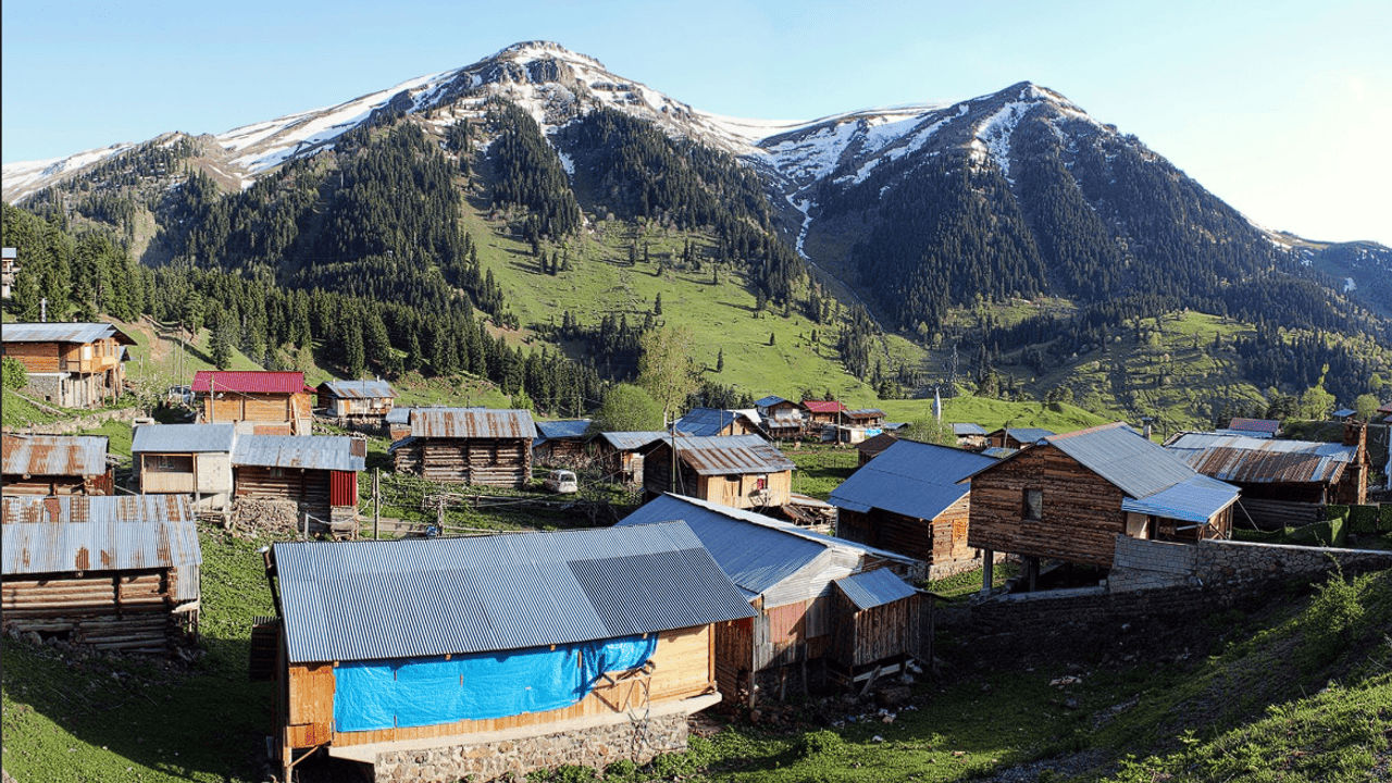 Doğa Çığlığı