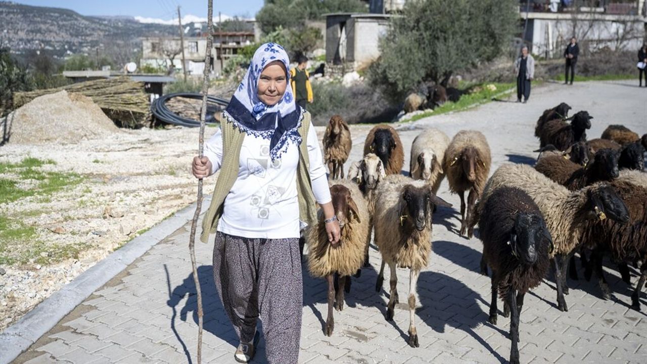 Yüksek Rakım Uyarısı