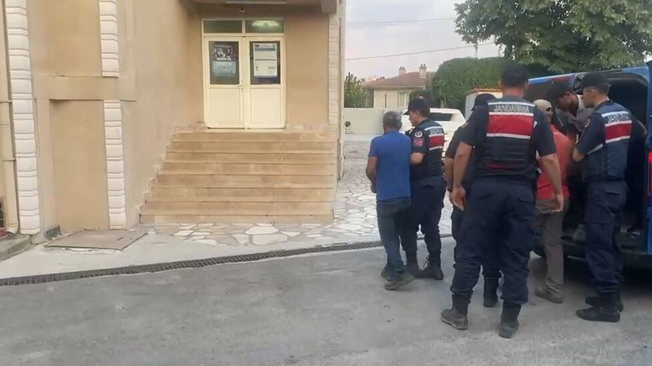 Orman yangınlarına