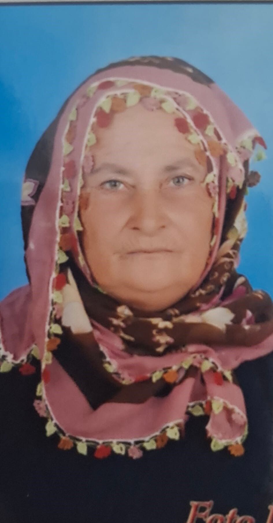 Cezire Avlukyarı