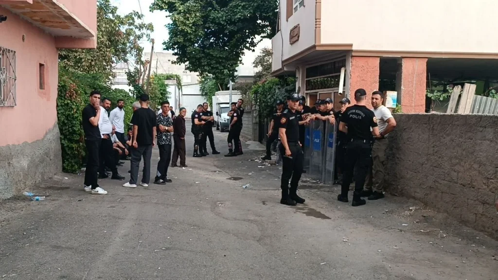 Seve Cihangir