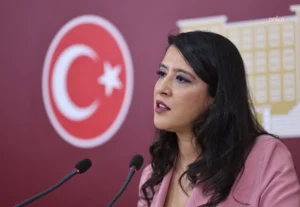 LGBTİ dernekleri